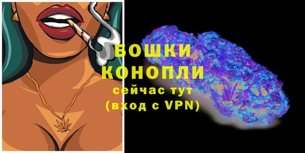 хмурый Дмитров