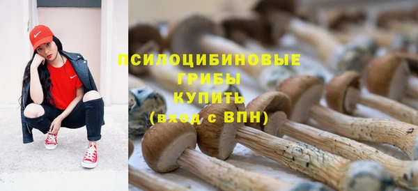 трава Дмитровск