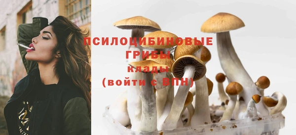 MESCALINE Дмитриев