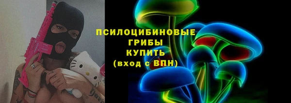 хмурый Дмитров