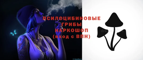 хмурый Дмитров