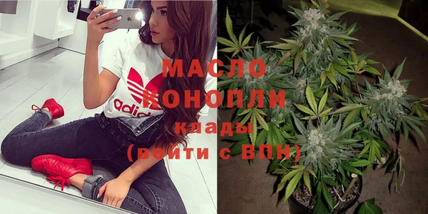 хмурый Дмитров