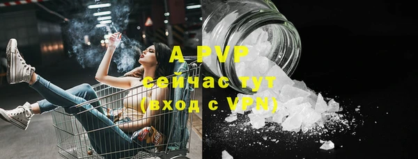хмурый Дмитров