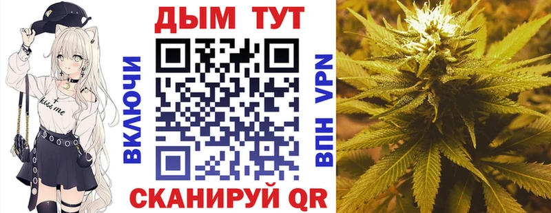 Каннабис SATIVA & INDICA  Купить где  Каневская 